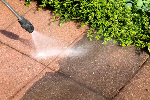 Best Best Pressure Washing Companies  in Westmont, PA